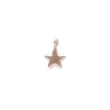 Sigillo Stella 10mm in Oro Rosa o Oro Giallo 9kt | Rubinia Gioielli Sale